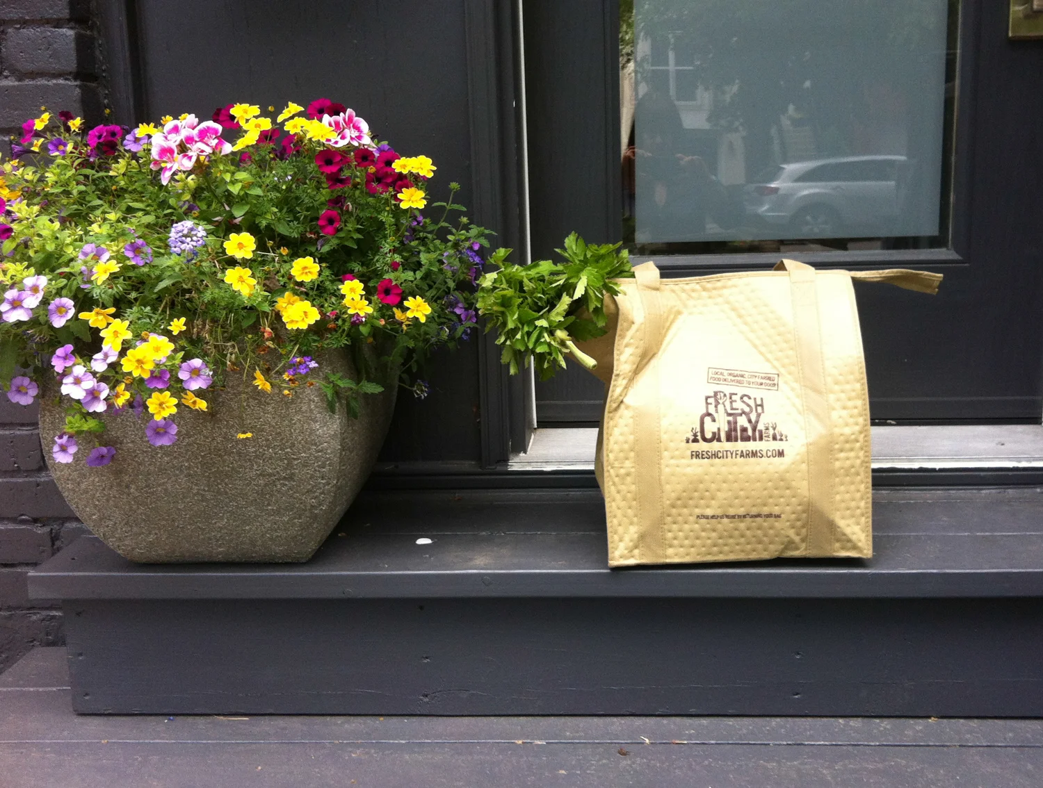My Fresh City Farms bag, I wonder what I will get this week.