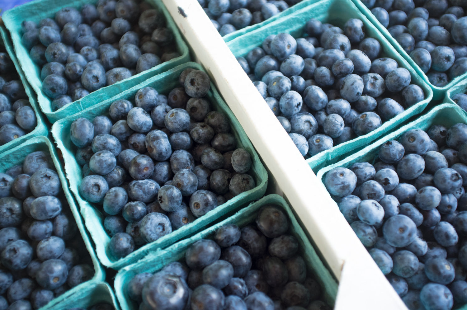 These blueberries are from Bizjak Farms.