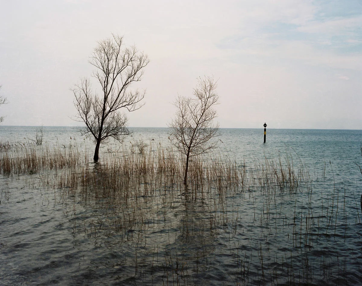 Endurance, 2012