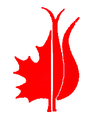 Canadian and Turkish Women’s Association of Ottawa