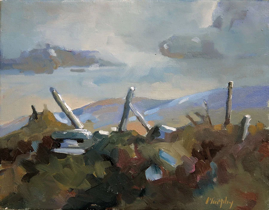 The Windswept Beara