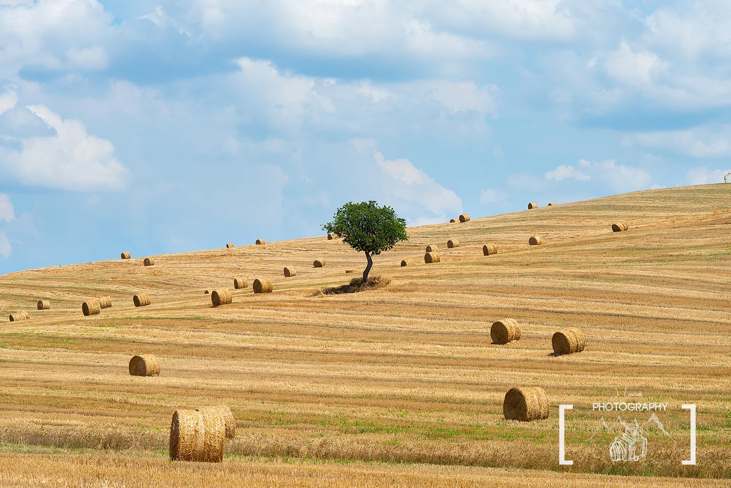 Alone in the Sun / Tuscany / Italy