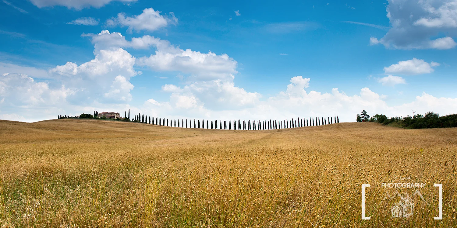 Cypress Road / Tuscany / Italy