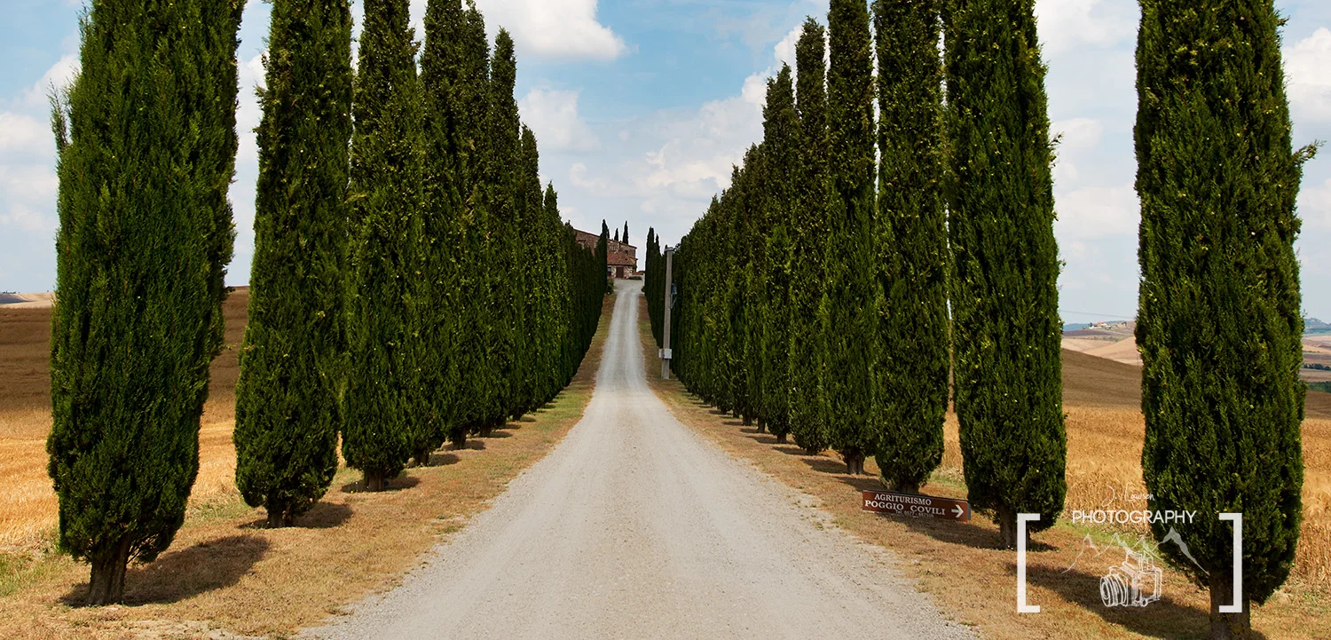 Setting the Road / Tuscany / Italy