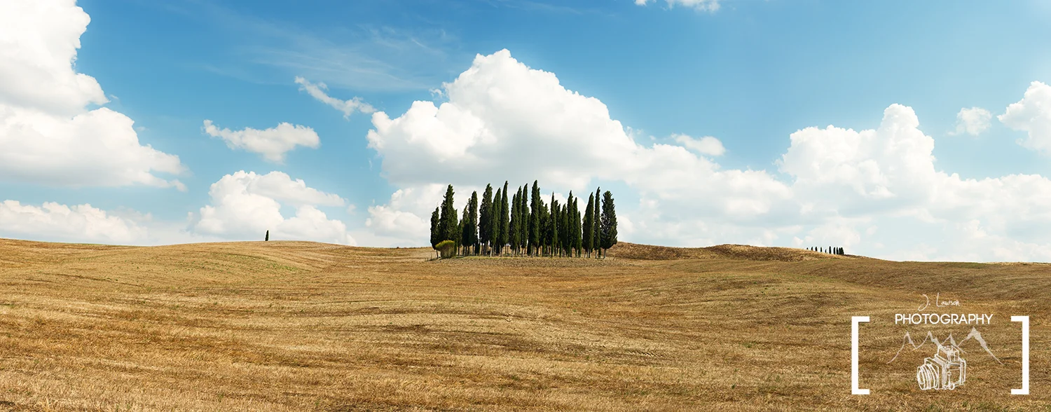 Cypress Panorama / Tuscany / Italy
