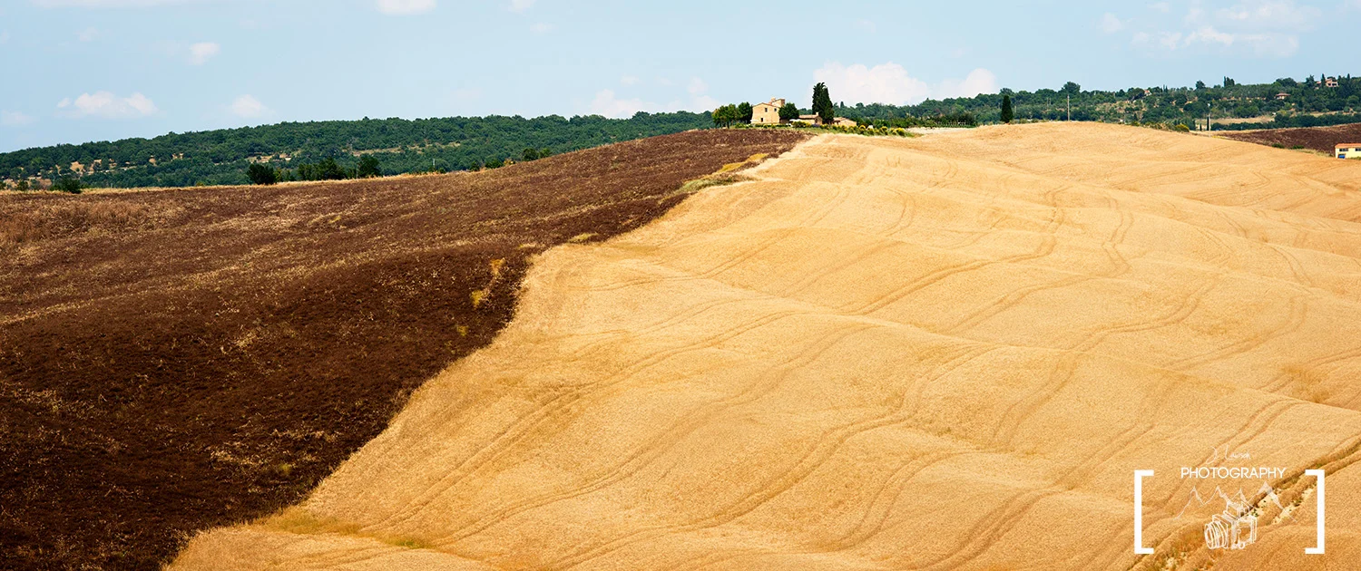Natural Contrast / Tuscany / Italy