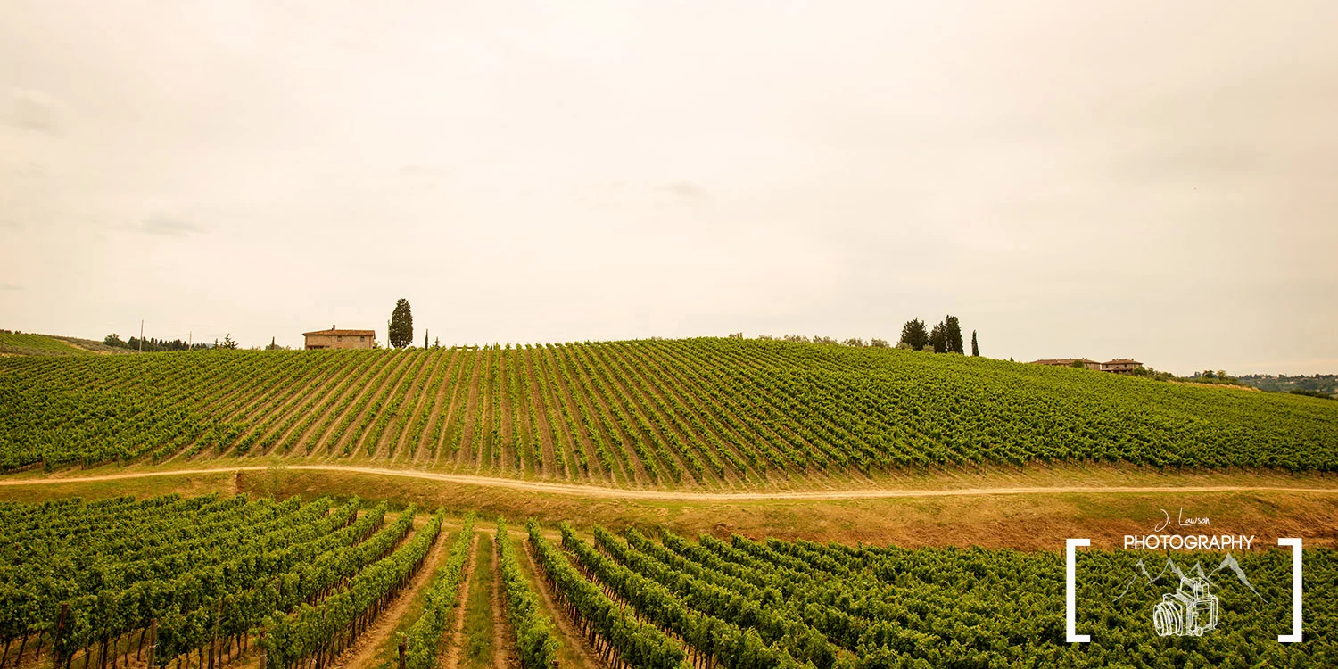 Wide Open Vineyards / Florence / Italy