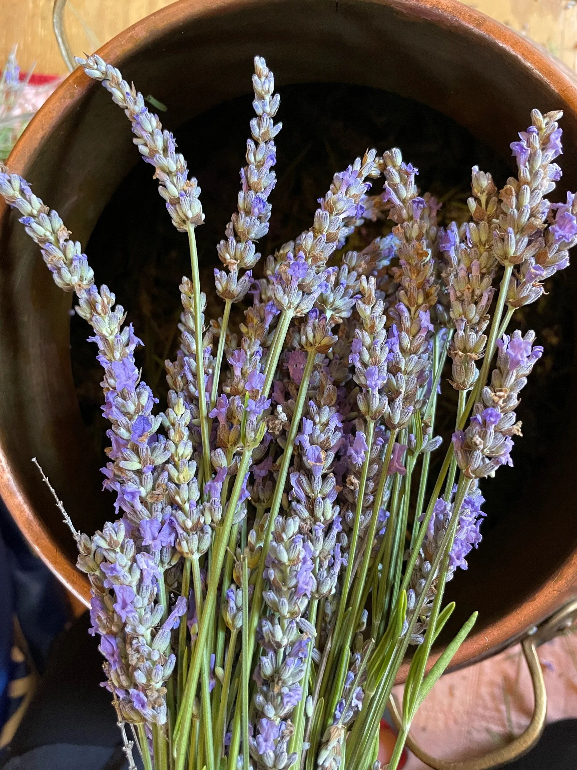 5EB91FC7-A755-4DEF-B145-3118FF507D36