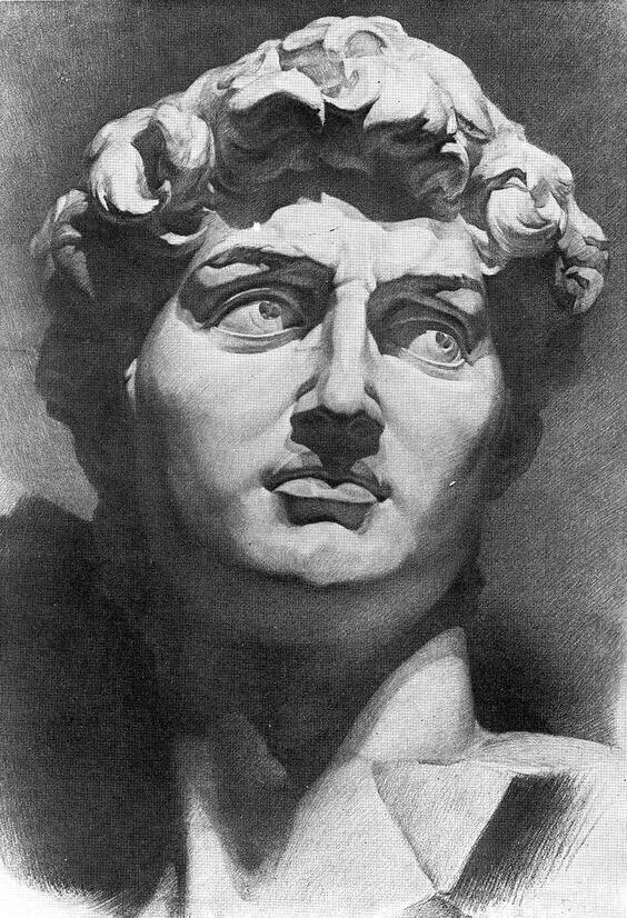 Как рисовать гипсовую голову Давида поэтапно? — Ghenadie Sontu Fine Art