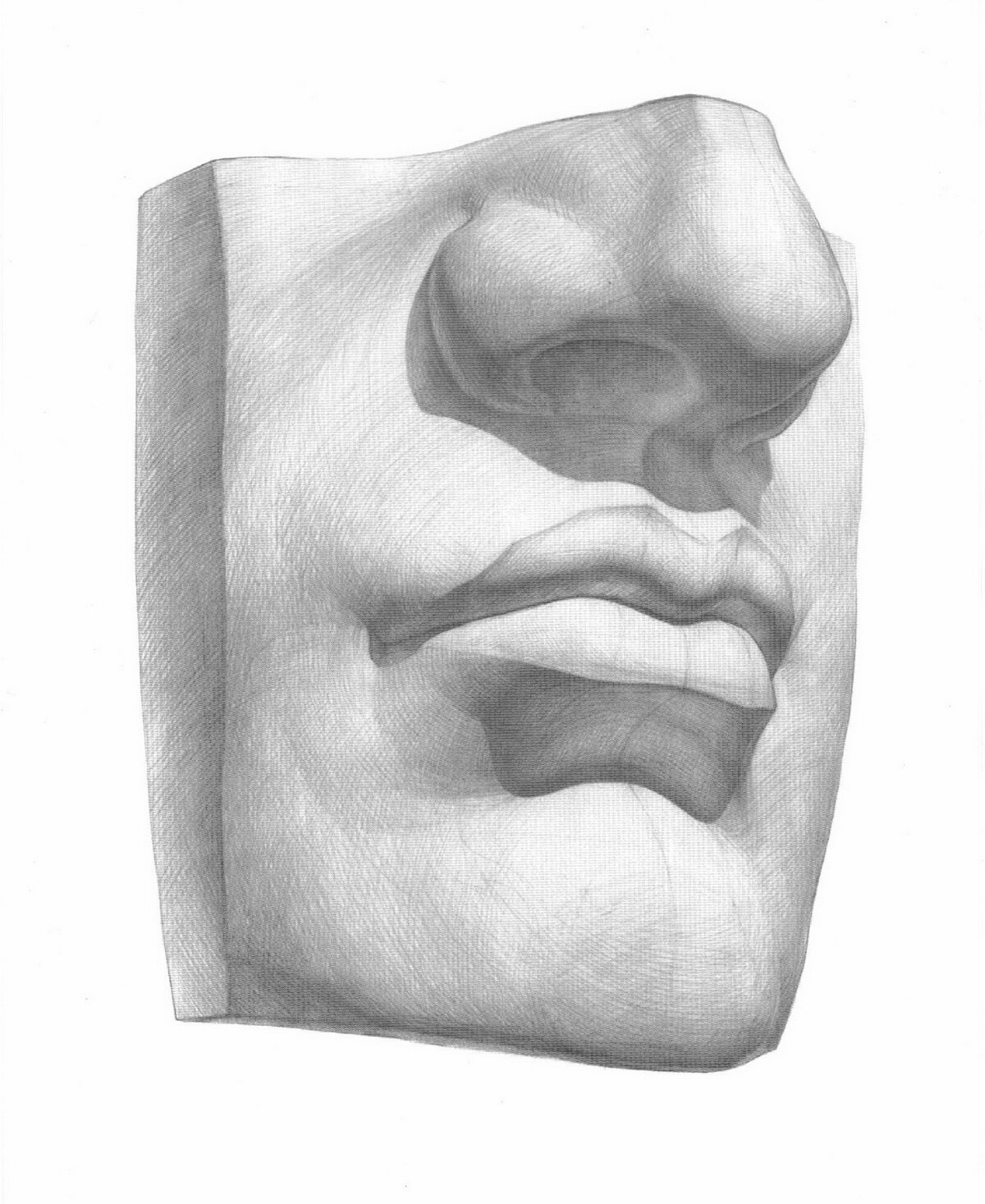 Рисунок гипсового слепка с античной скульптуры головы человека