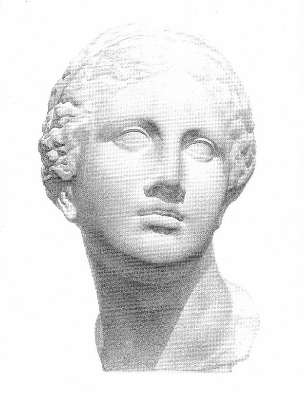 Рисунок головы Афродиты с античной скульптуры. Фас