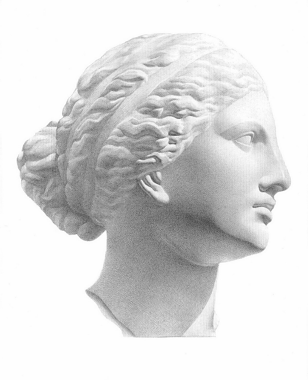 Рисунок гипсовой головы Афродиты с античной скульптуры. Профиль