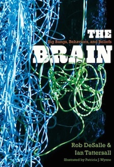 The Brain: Big Bangs, Behaviors and Beliefs