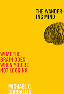 The Wandering Mind: What The Brain Does When You're Not Looking