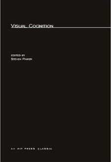 Visual Cognition