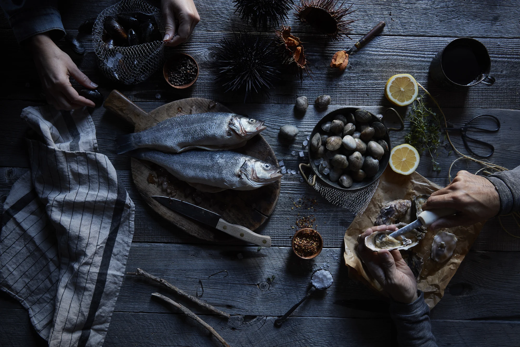 Fish promo 2018_17412.jpg