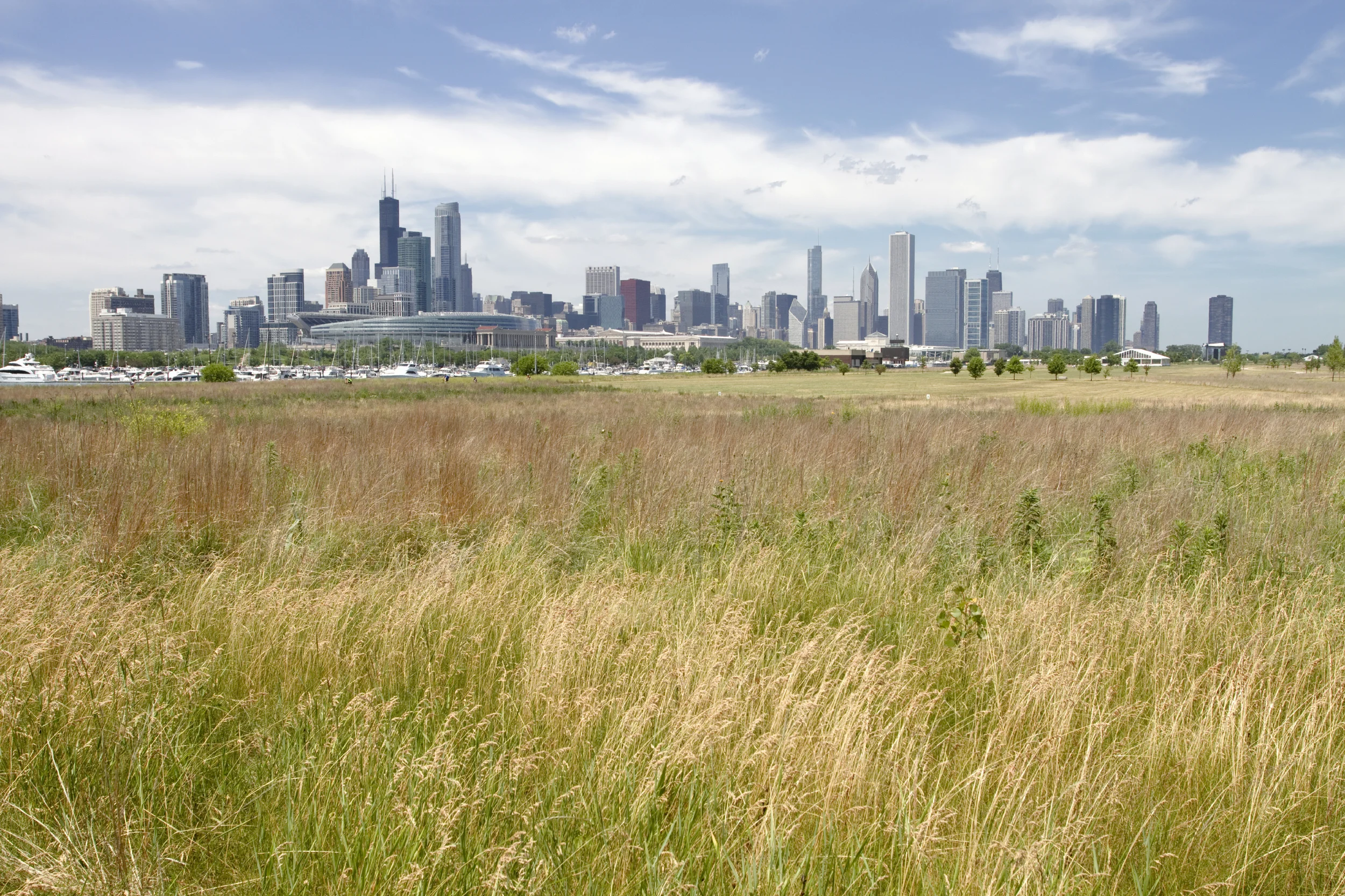 iStock_000023465168Large.jpg
