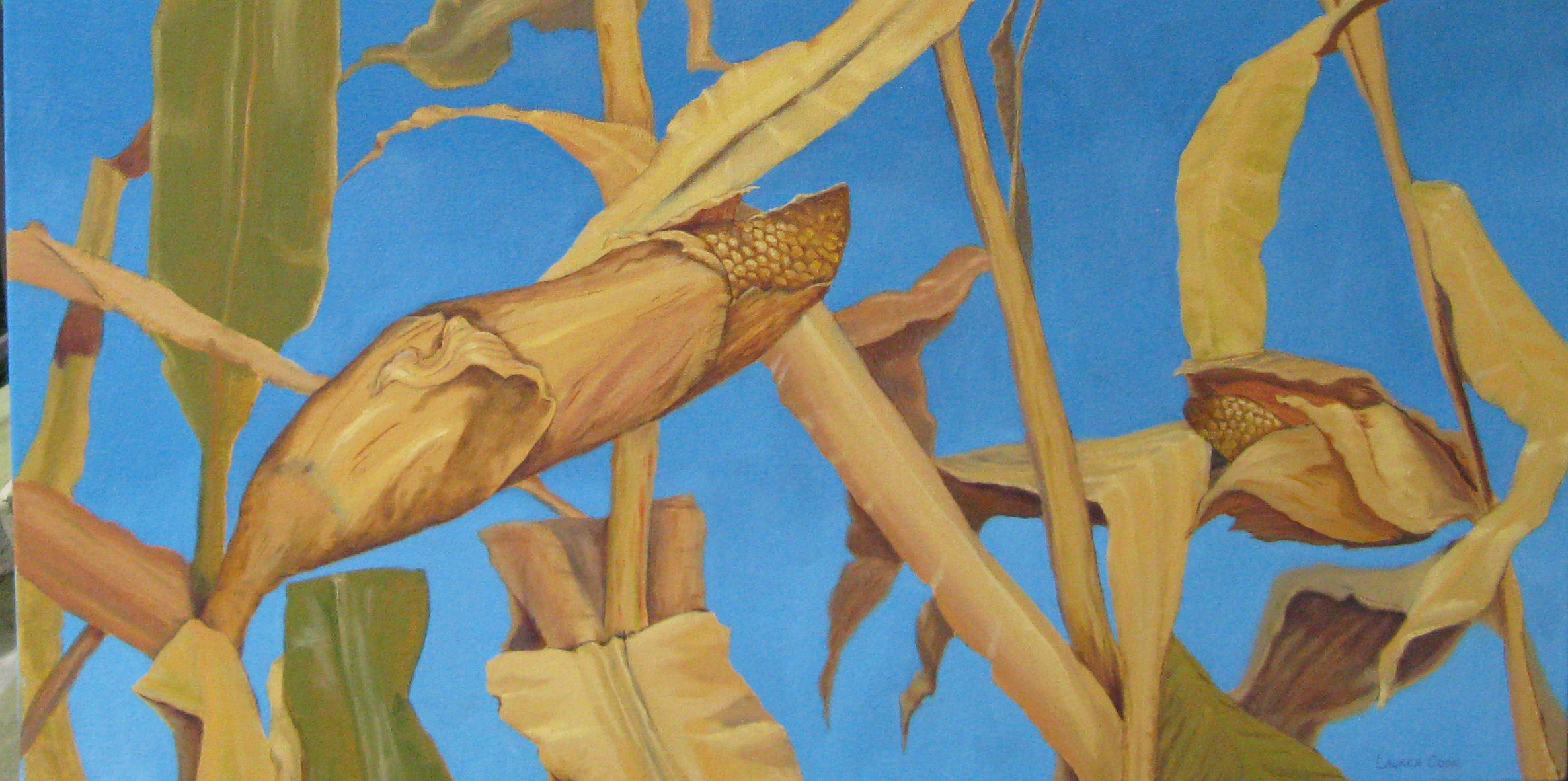 Corn Talking.jpg