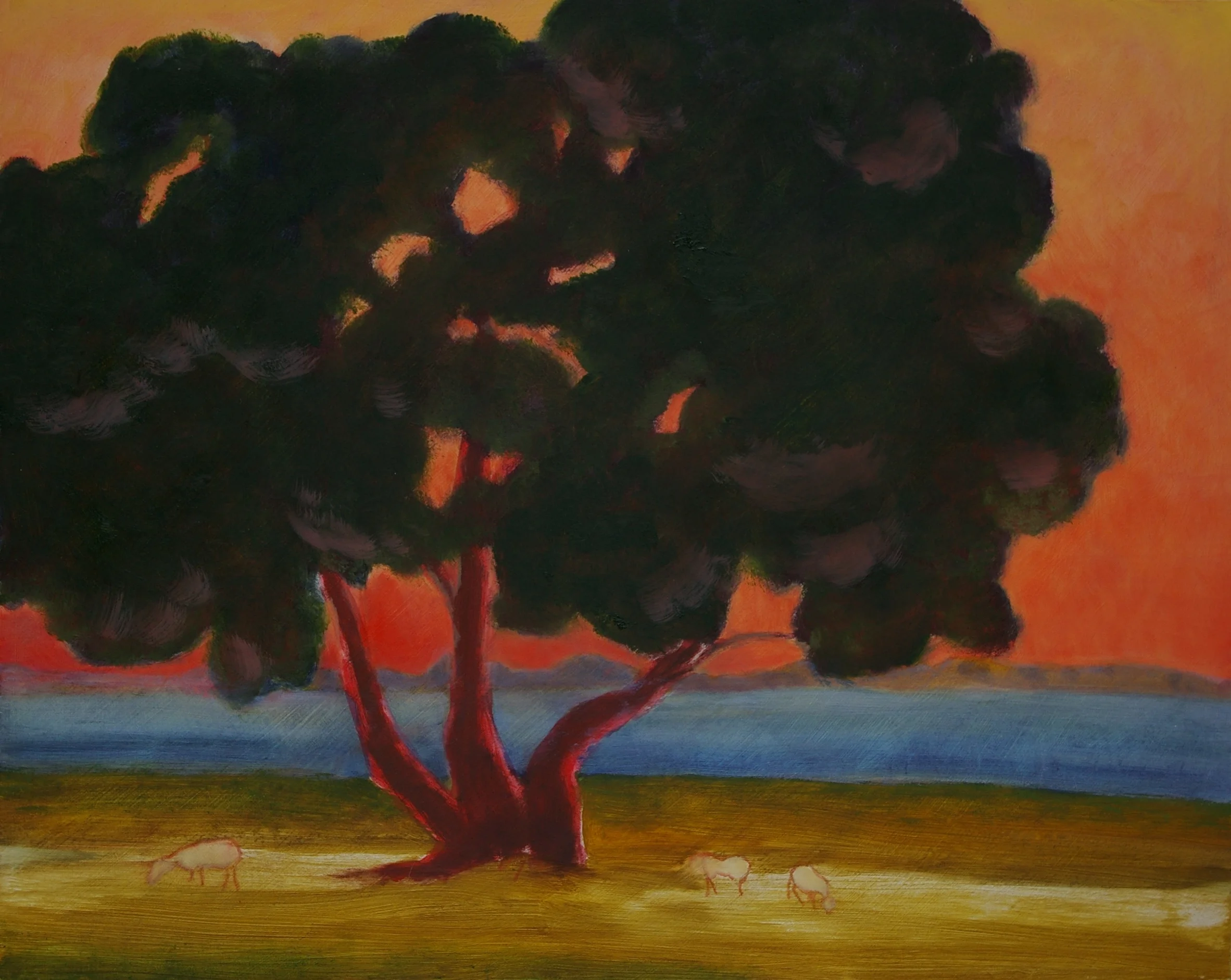 Pasture 1.jpg