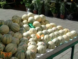Melons.jpg