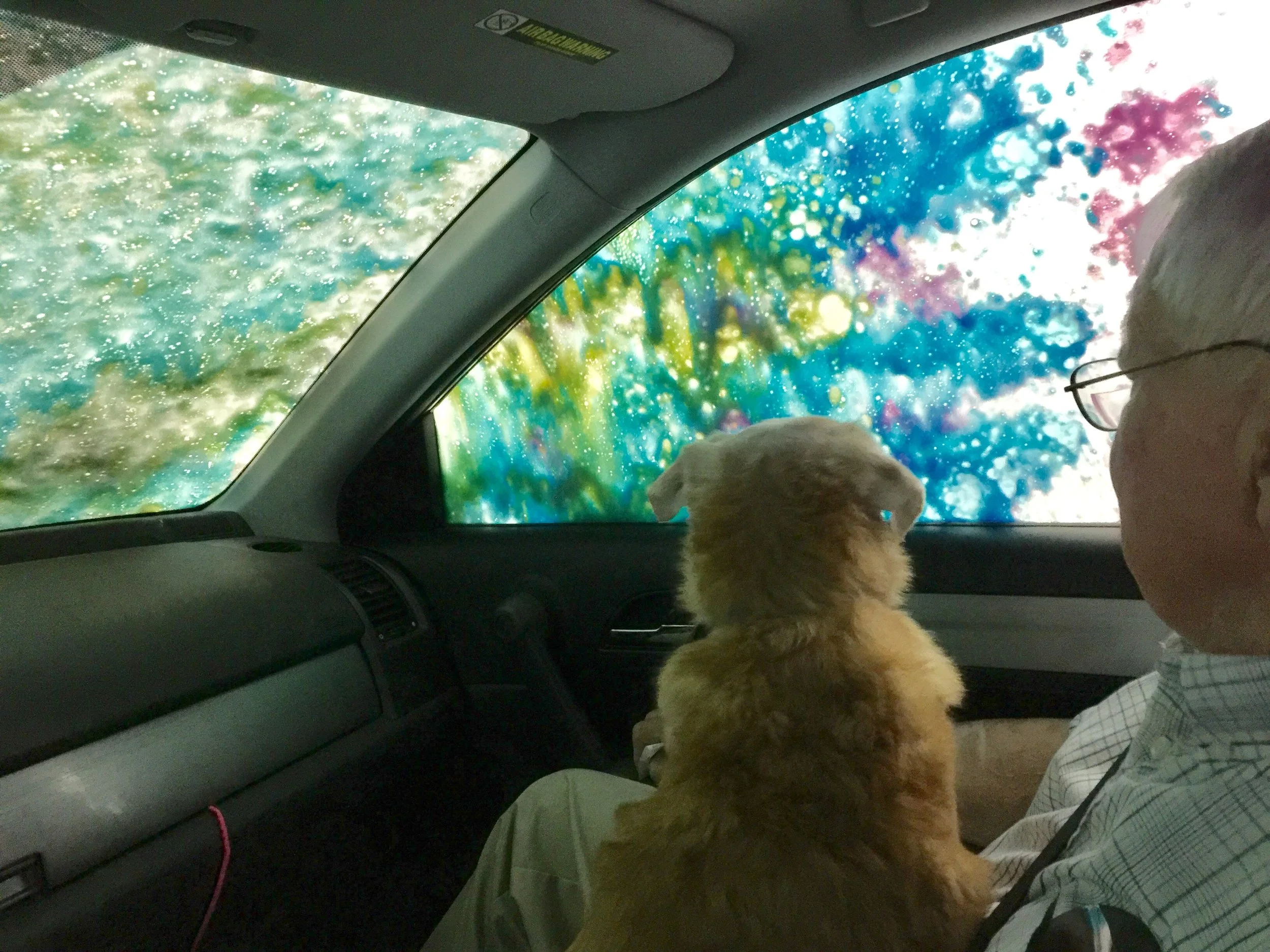 The Car Wash, 2017