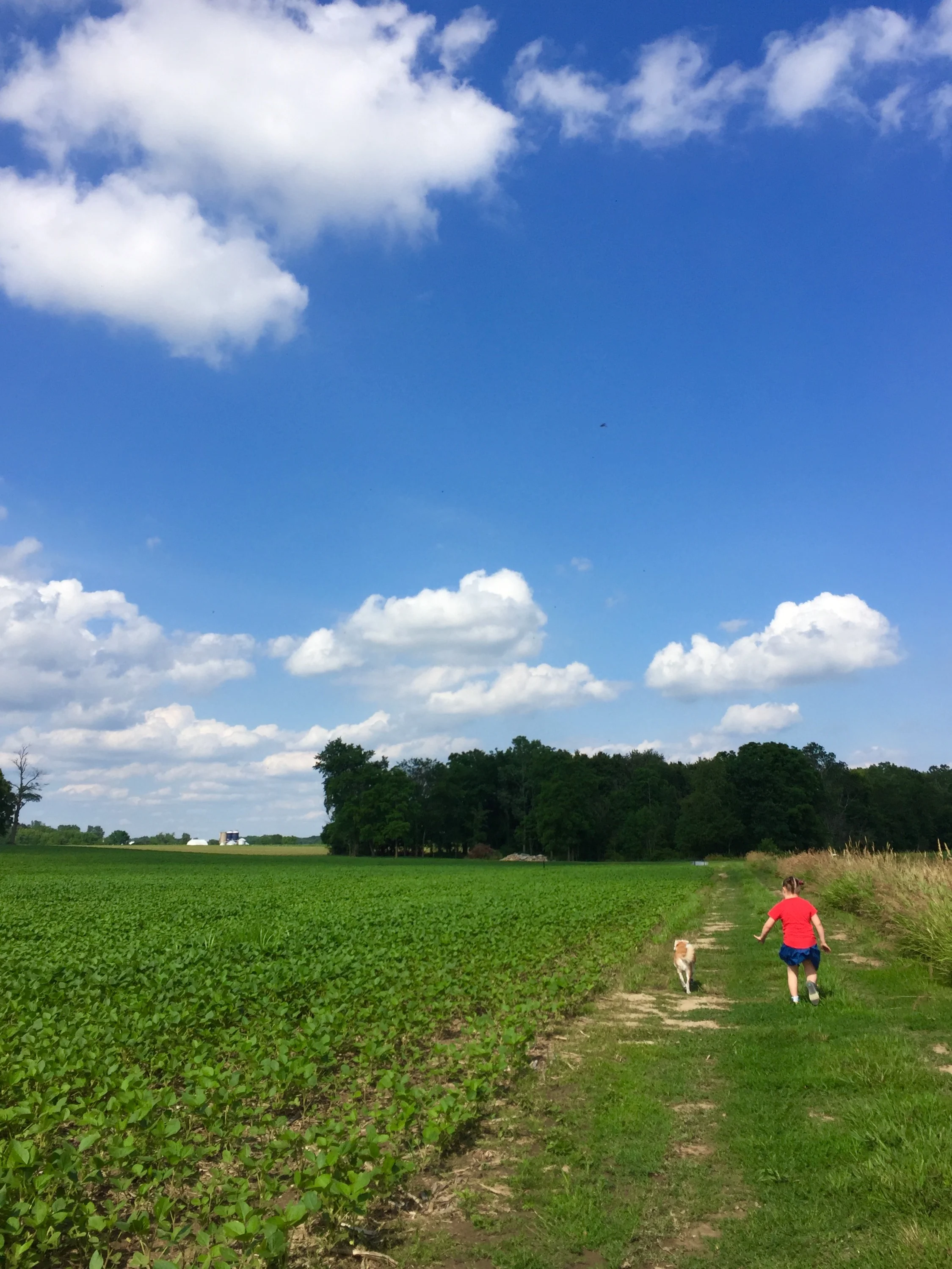  Walking with Zee,&nbsp;Michigan, 2017 