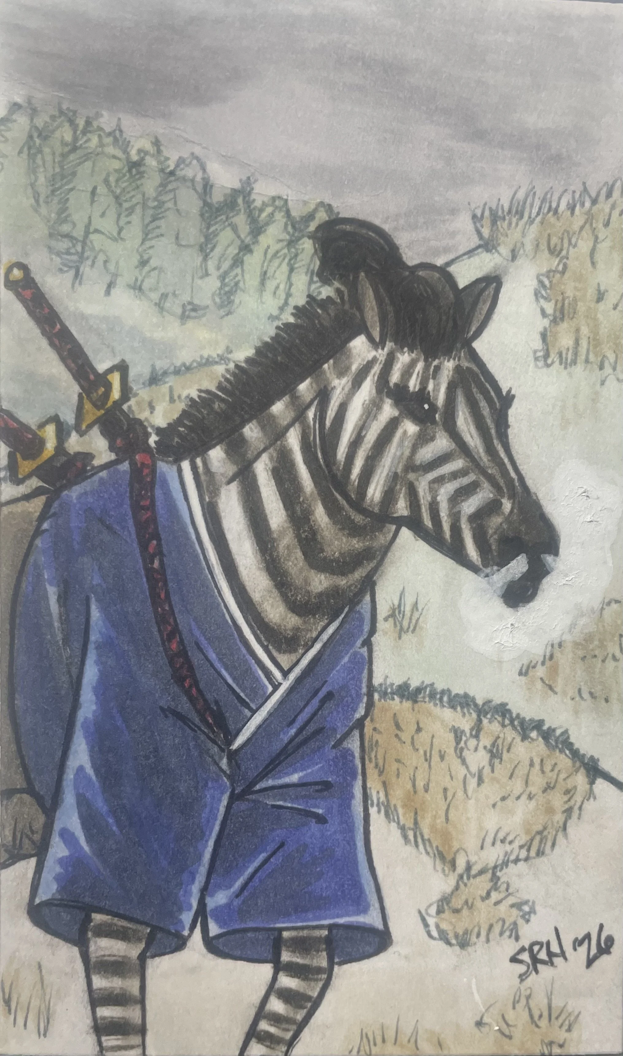 Samurai Zebra in a mountain taiga forest