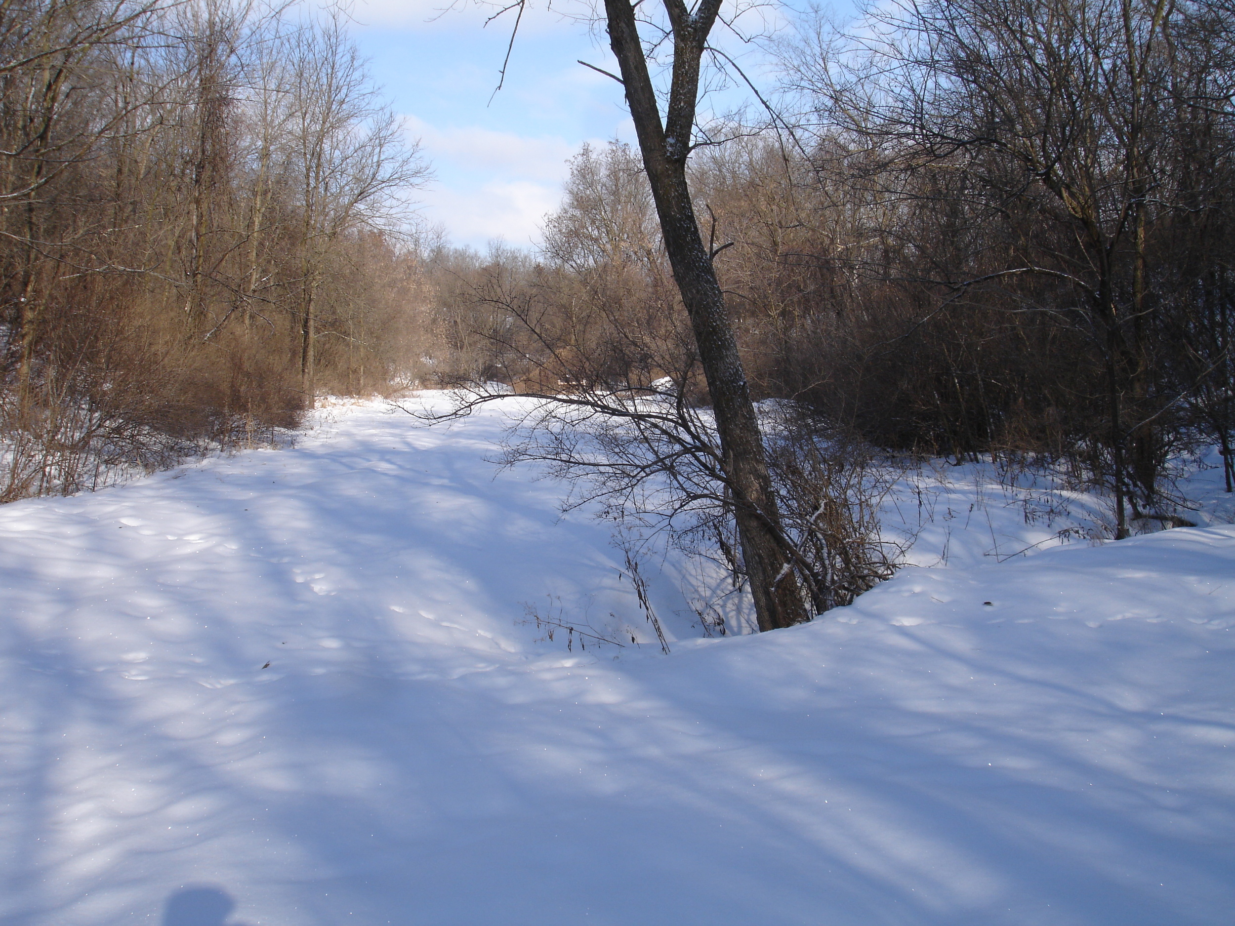 DSC01296.JPG