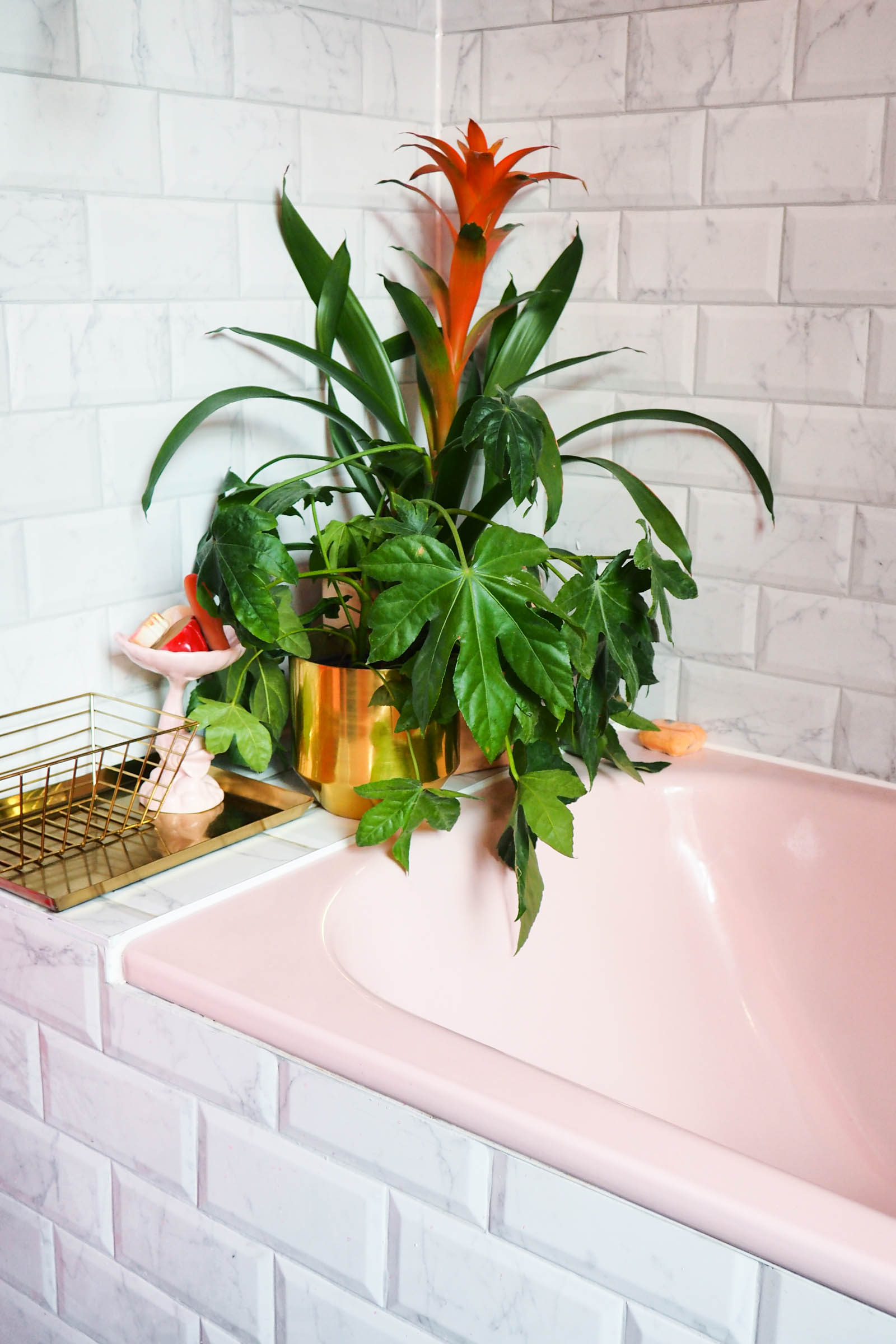 Amy's pink and marble bathroom with black and white tiles, green houseplants and brass accents.