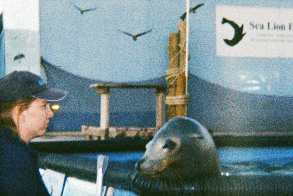 Michael Williams Commercial Photographer Phoenix Arizona.