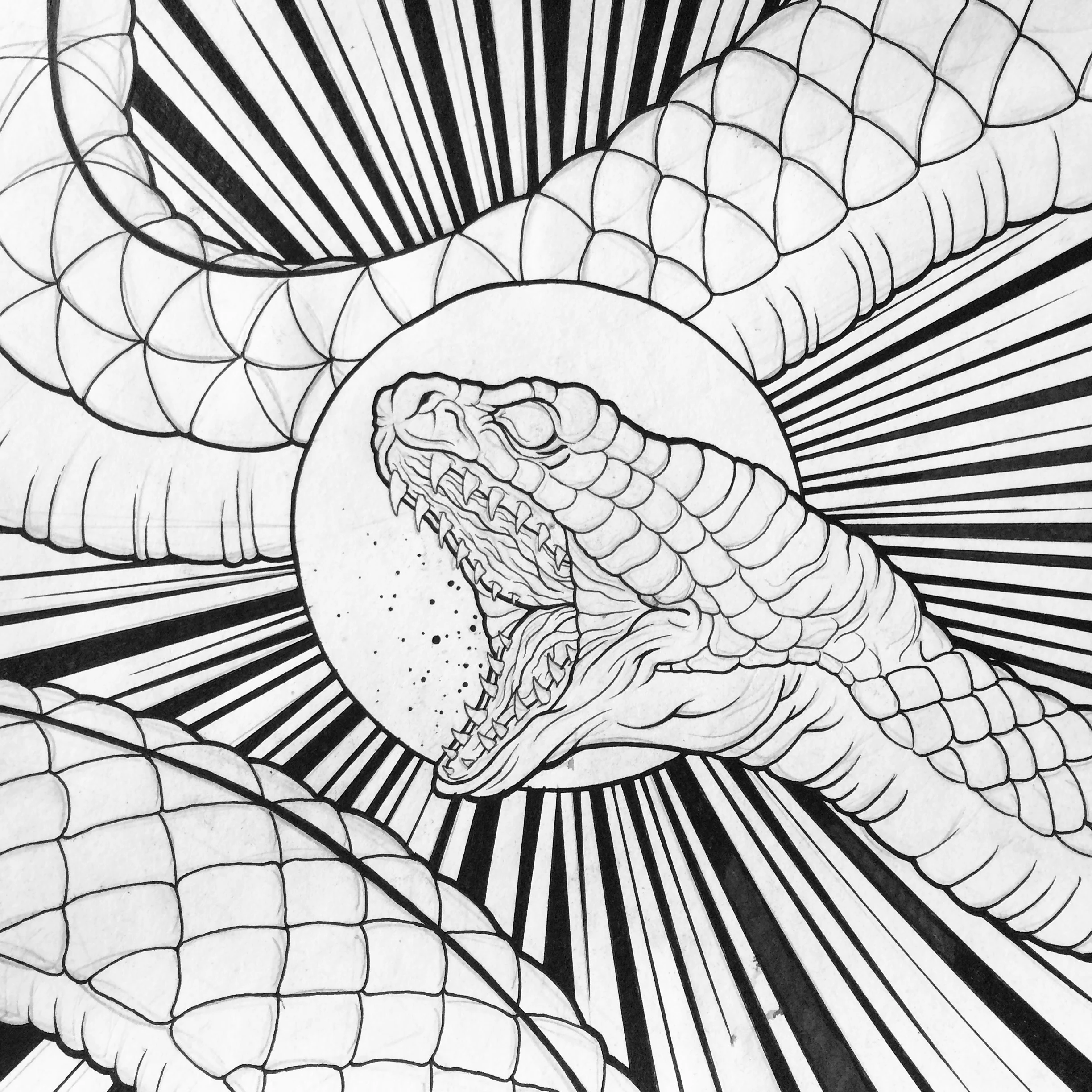 Anaconda