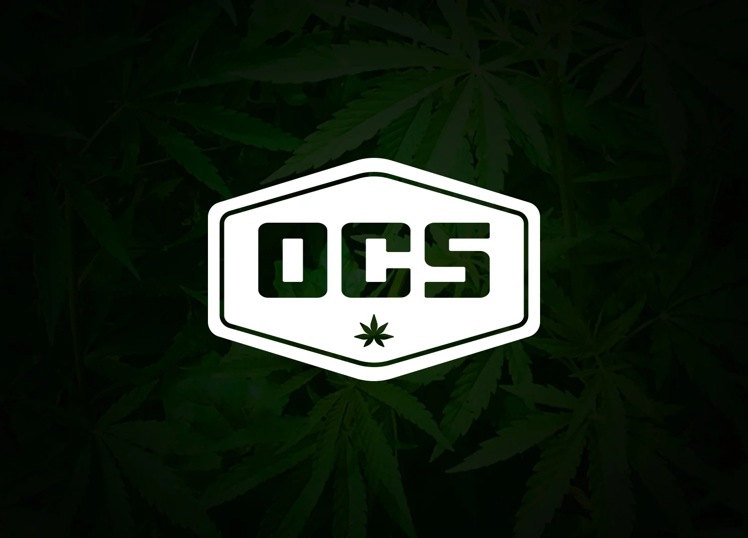 OCS CONCEPT