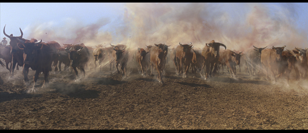 AUS_Dust_Pass_Concept_001.jpg