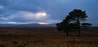 Orkneys_PartII-7396.jpg