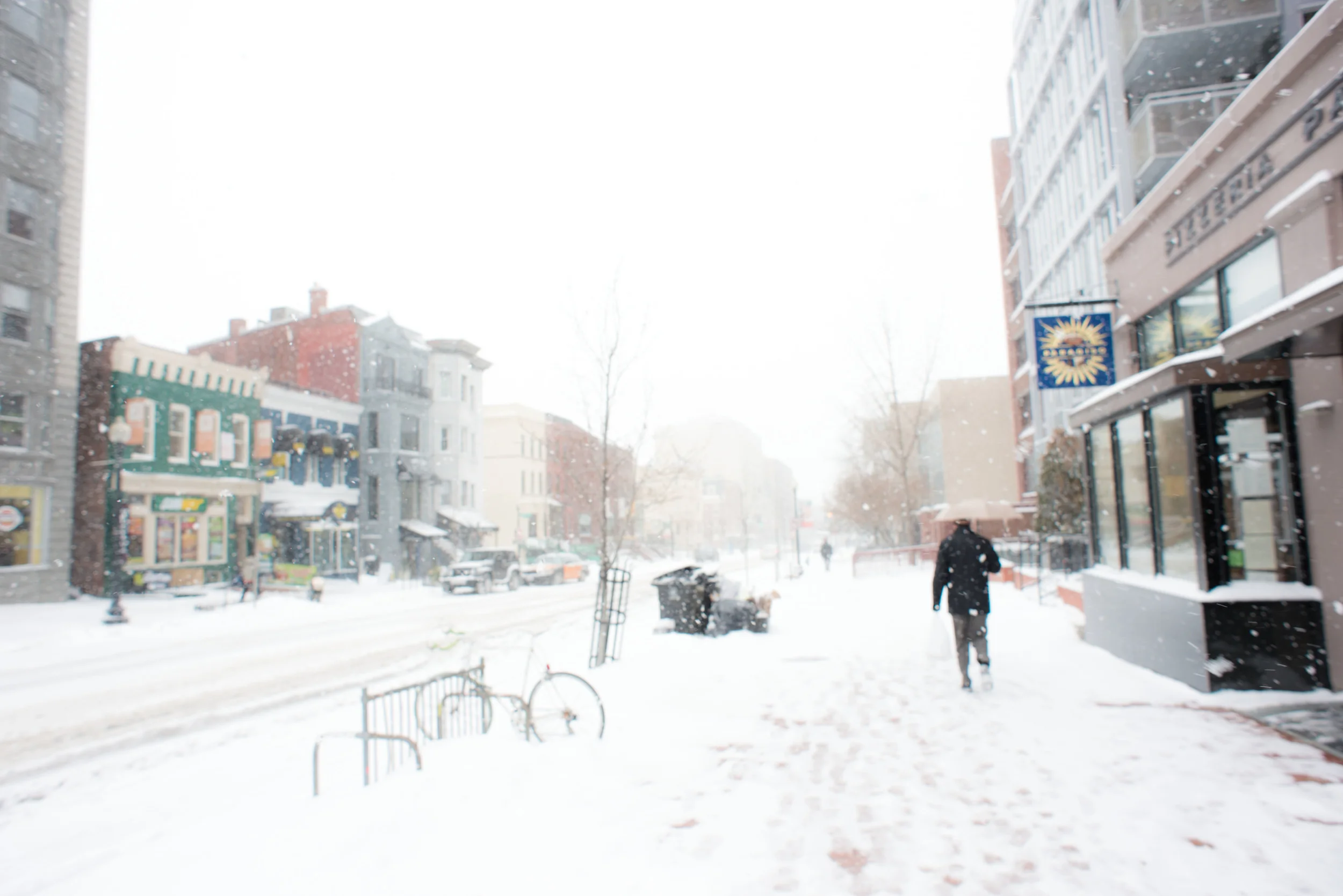 snow DC washington dc photographer blurryonpurpose