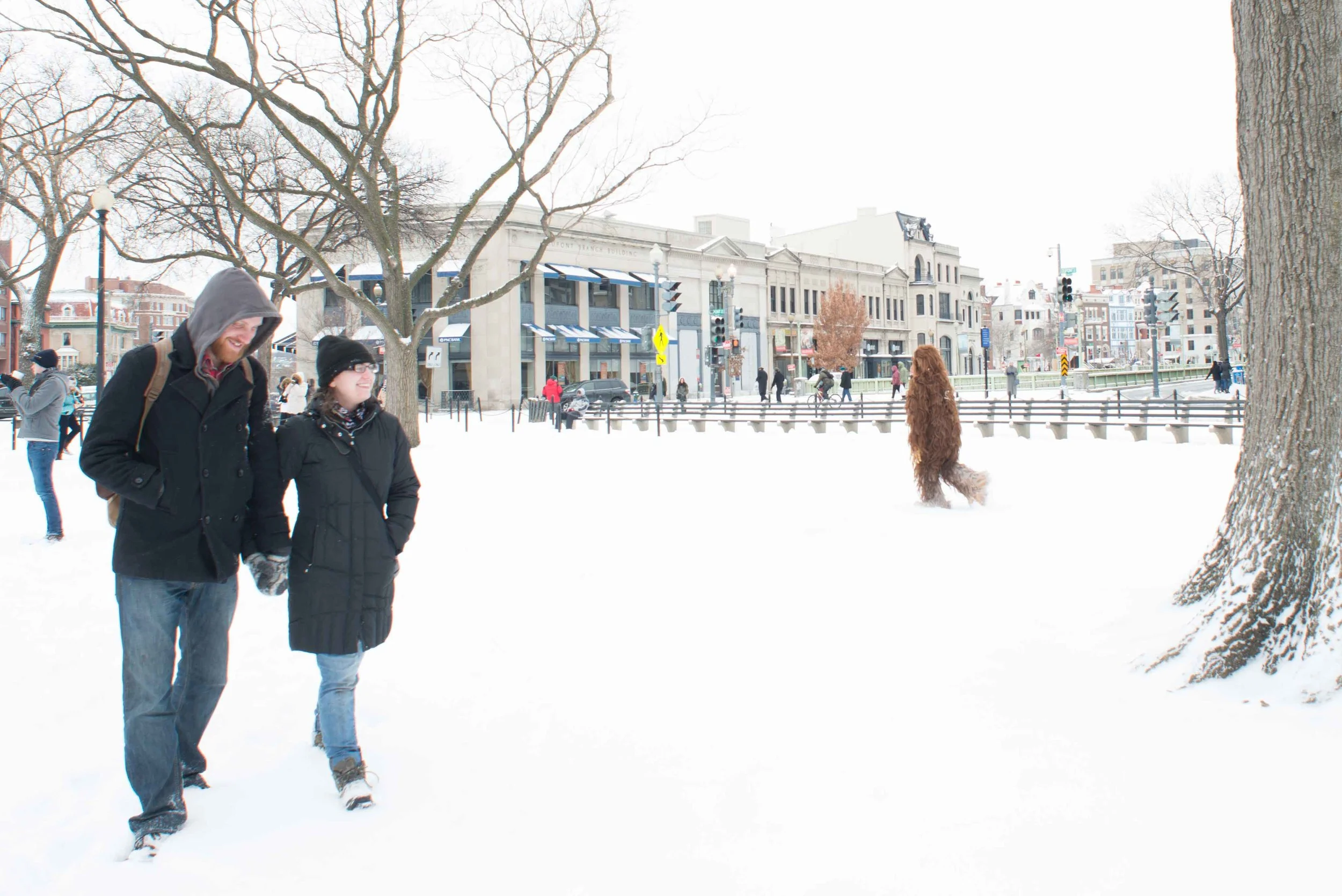 bigfoot snow dc dupont washington dc photographer