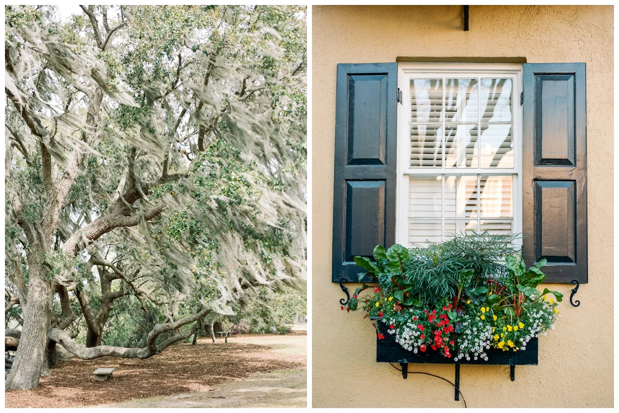 charleston, south carolina on film by destination fine art photographer Lissa Ryan Photography