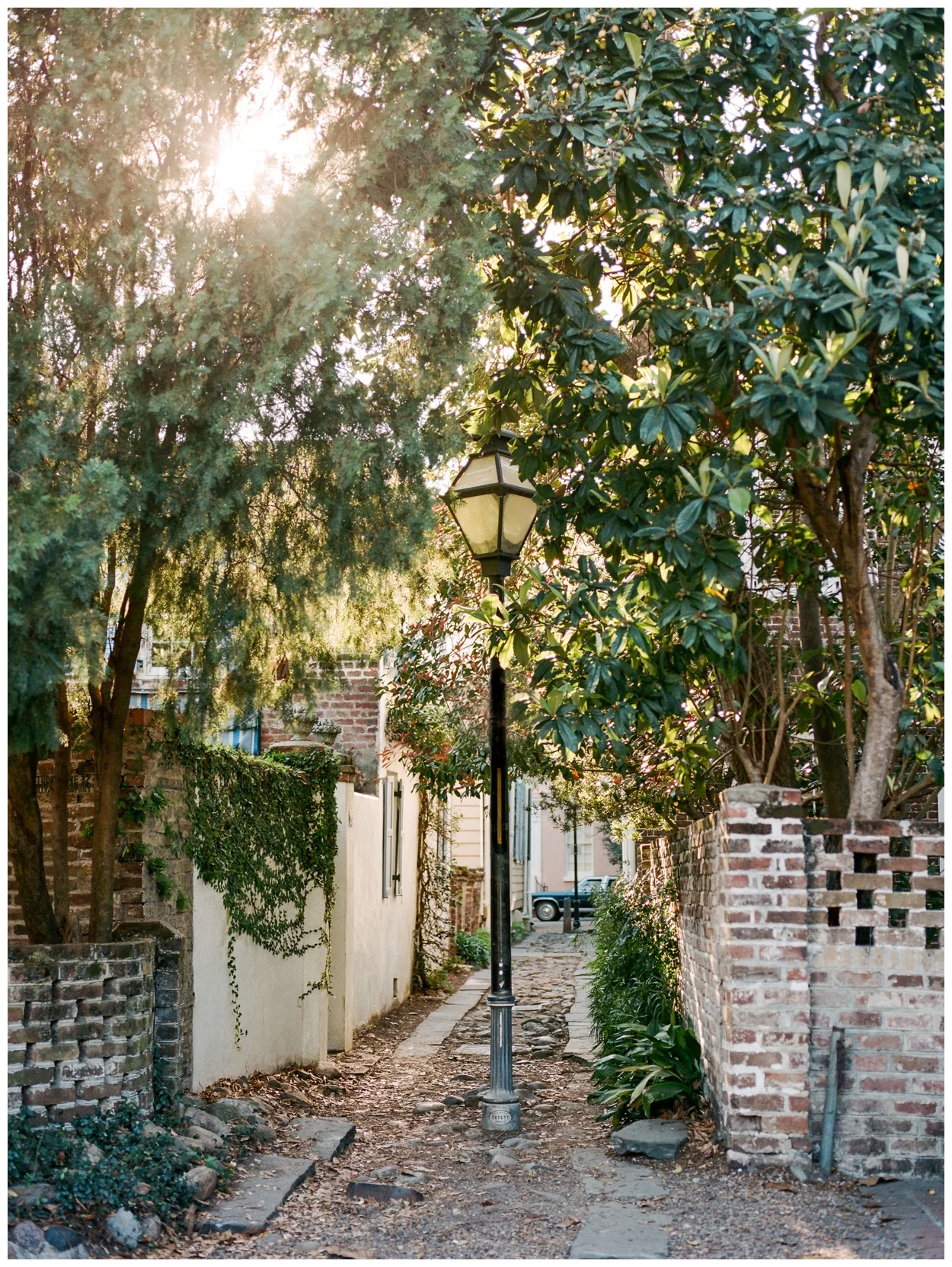 charleston, south carolina on film by destination fine art photographer Lissa Ryan Photography