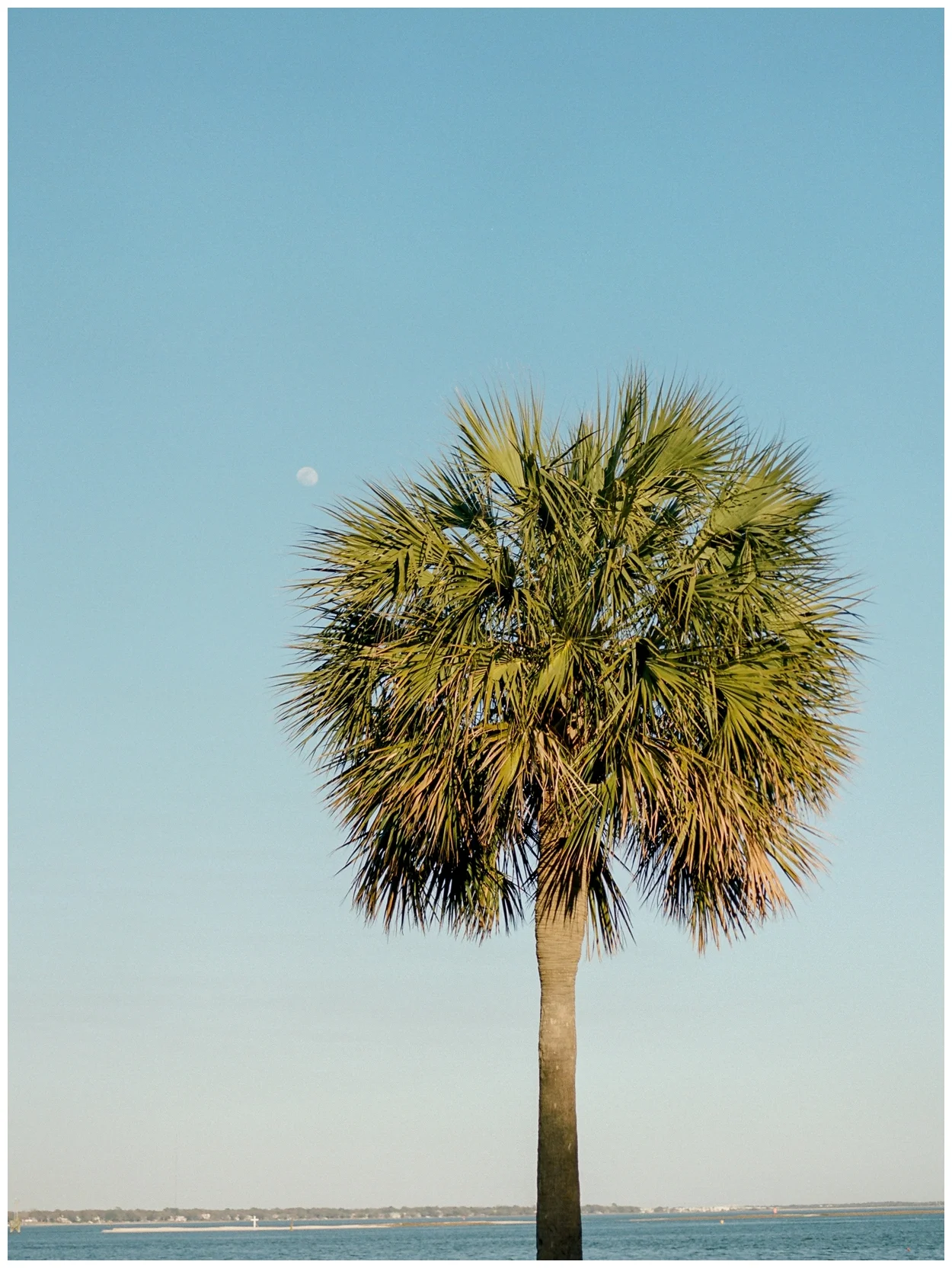 charleston, south carolina on film by destination fine art photographer Lissa Ryan Photography