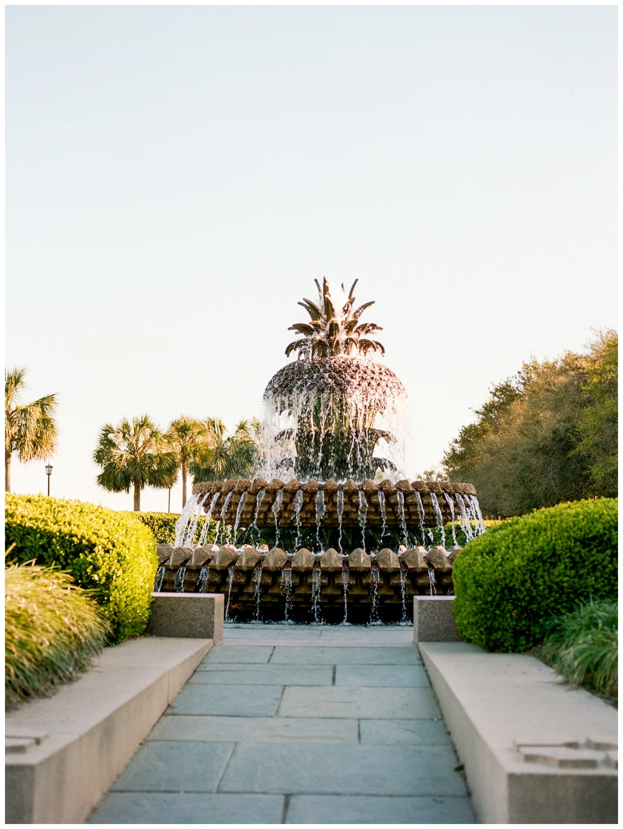 charleston, south carolina on film by destination fine art photographer Lissa Ryan Photography