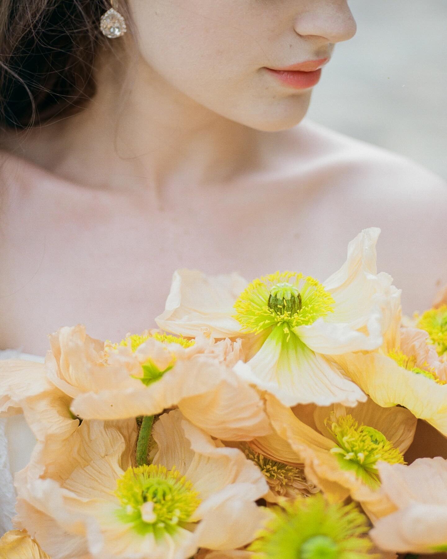 Pulled from the archive, but this beautiful poppy bouquet remains one of my favorites of all time.

Bouquet - @whitemagnoliadesigns