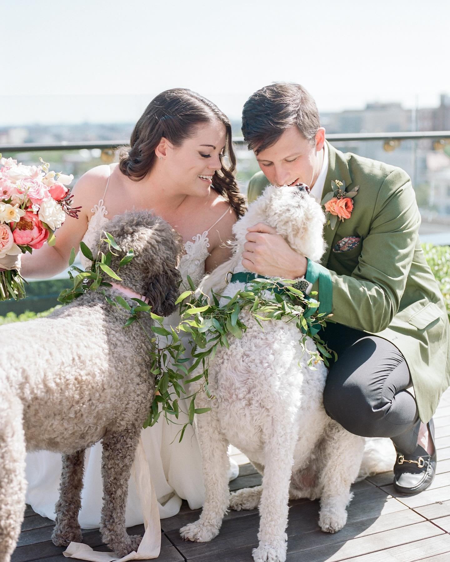 If the question is &ldquo;should I include my fur family in my photos?&rdquo;, my answer is always YES! (And @fureveralways is the very best assistance with this on a wedding day, so your pet is spoiled and on time for their big moments)
Happy Nation
