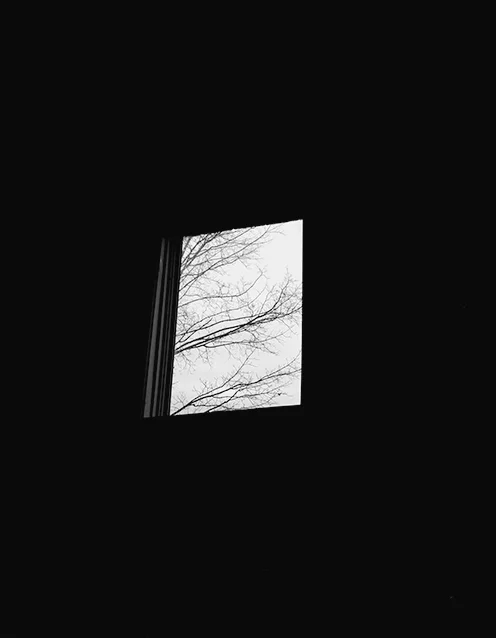 skylight1_2013.jpg