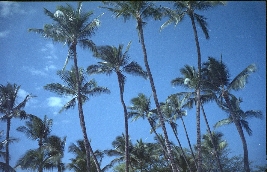 untitled006_2015.jpg