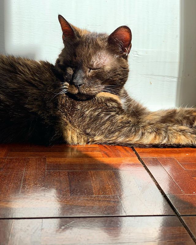 Sundays are for sunbathing