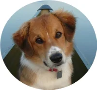 baxter.jpg