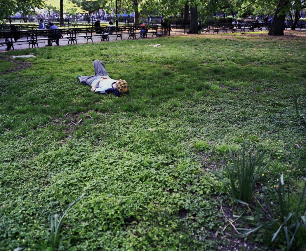 park nap.jpeg