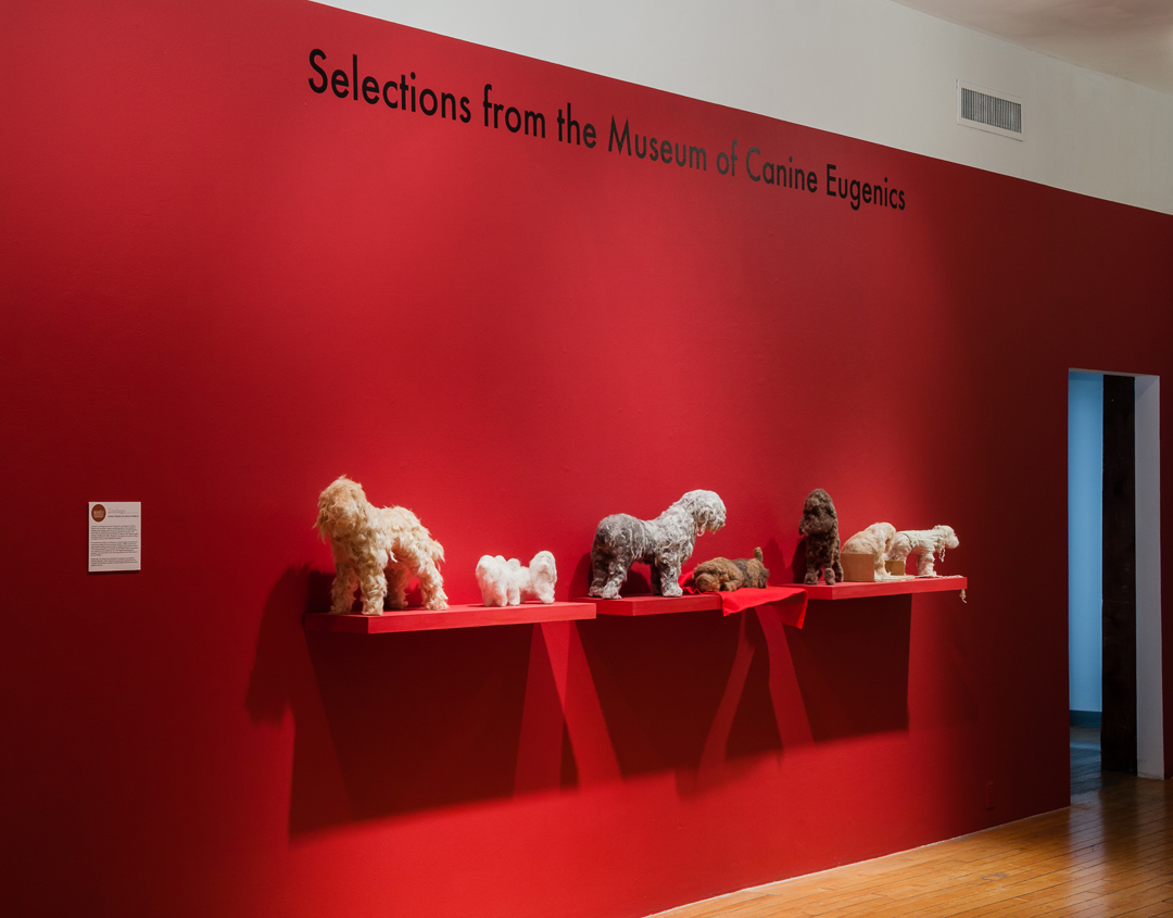 Selections from the Museum of Canine Eugenics, 2015