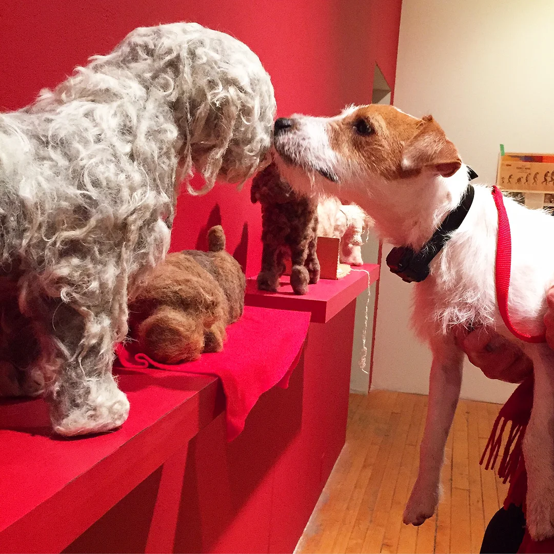 Selections from the Museum of Canine Eugenics, 2015