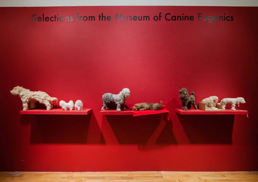 Selections from the Museum of Canine Eugenics, 2015